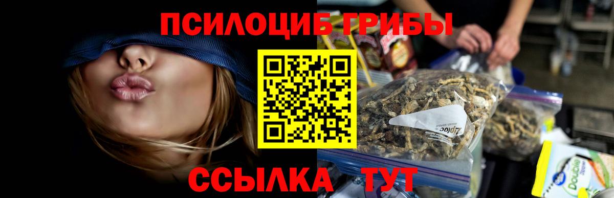 Галлюциногенные грибы Psilocybine cubensis Муром
